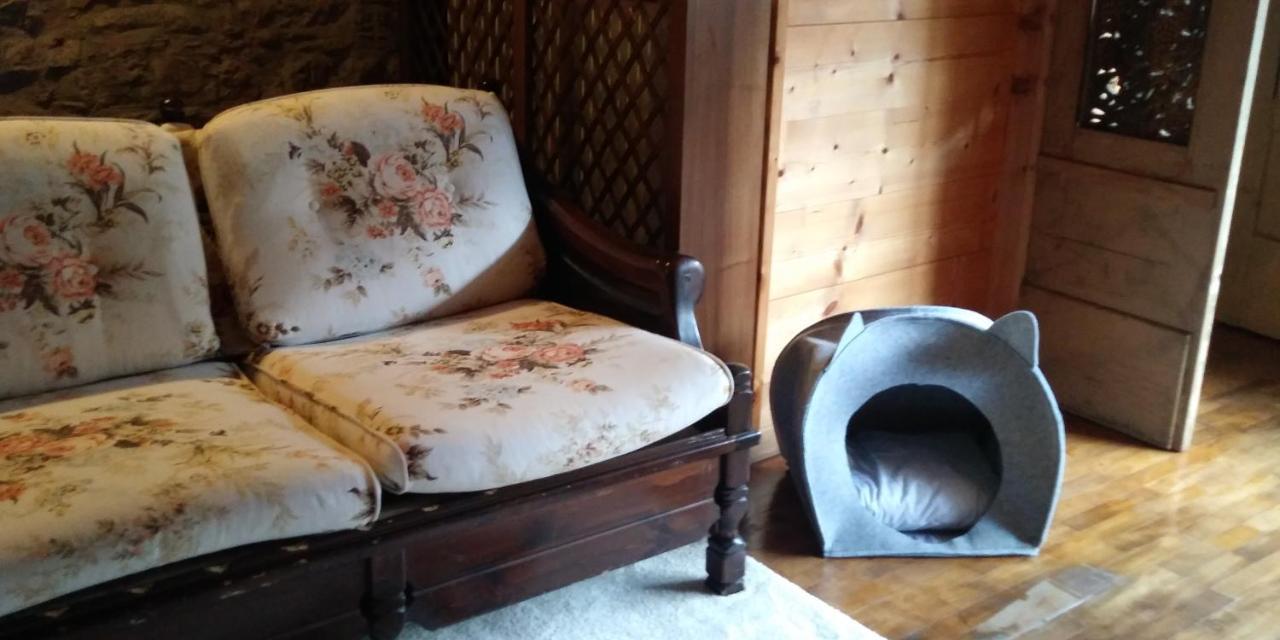 La Finestra Sulla Contea Villa Ovaro Kültér fotó